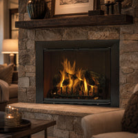 Reflection Custom Masonry Fireplace Glass Door — lifestyle