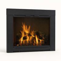 Grande Standard Masonry Fireplace Glass Door — studio