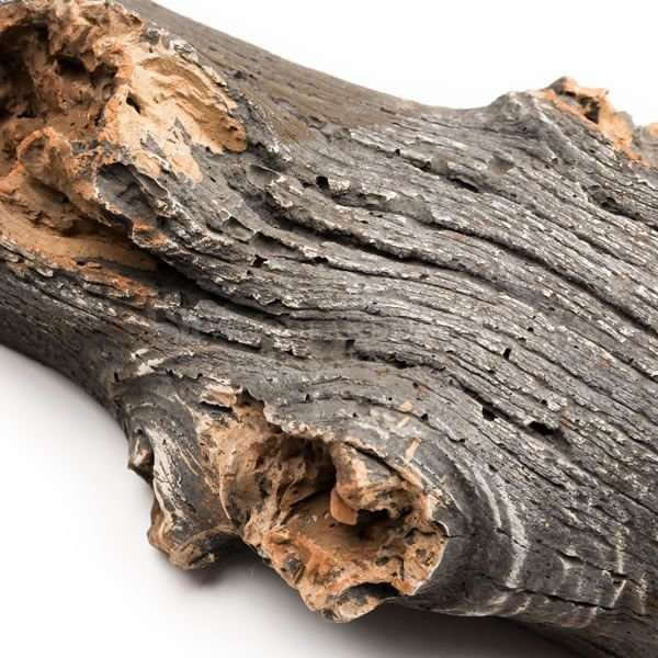 Arizona Juniper Vented Gas Log Set - Grand Canyon - ExceptionalFire