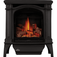 Napoleon Bayfield Direct Vent Cast Iron Gas Stove - Model GDS25-1