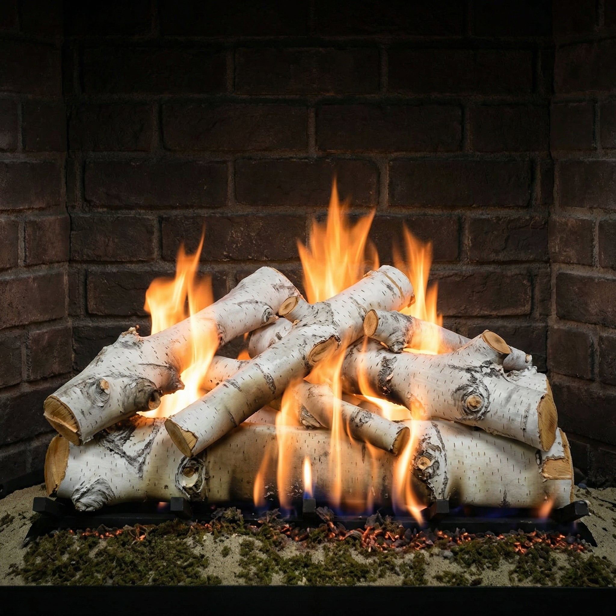 30" Sierra Birch Gas Log Set | Formation Creation