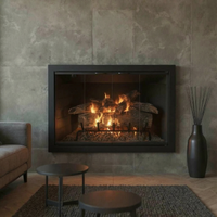 Brookfield - Masonry & Prefab Fireplace Glass Doors | Custom