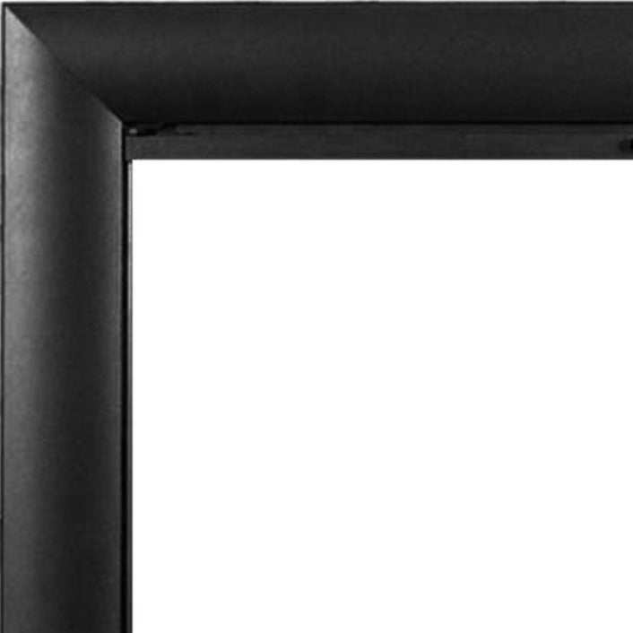 Bungalow - Masonry Fireplace Glass Door Masonry - ExceptionalFire