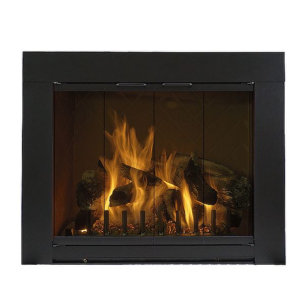 Grande Standard Masonry Fireplace Glass Door