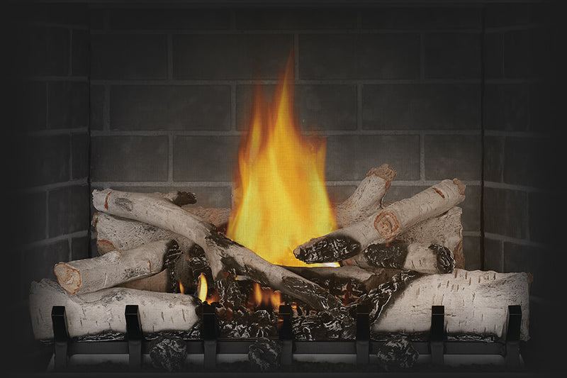 Napoleon Riverside 36" Clean Face Vent-Free Outdoor Gas Fireplace - Model GSS36CFN