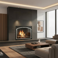 Laguna Arch Pane - Masonry & Prefab Fireplace Glass Doors | Custom