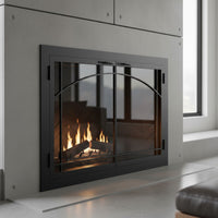 Carolina Sunrise masonry and zero clearance fireplace glass doors with custom dimensions and 5-year warranty