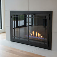 Carolina Window Pane - Masonry & Prefab Fireplace Glass Doors | Custom
