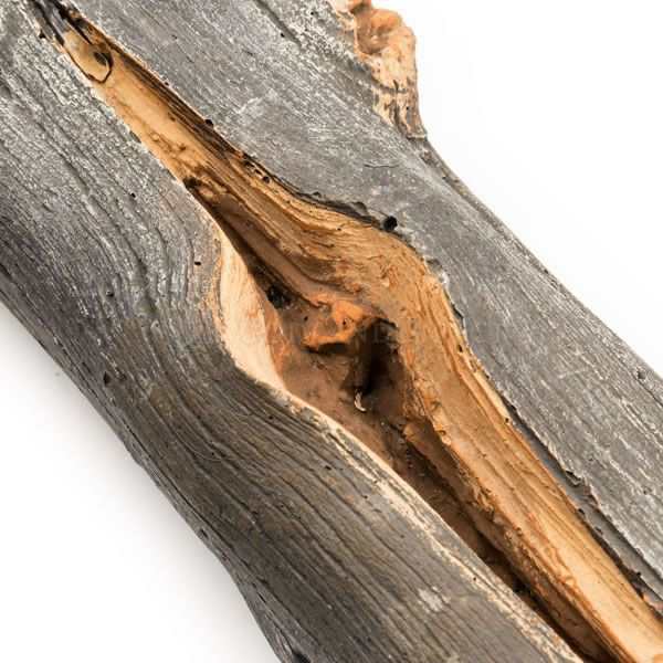 Grand Canyon Arizona Juniper See-Through Vented Gas Log Set - ExceptionalFire