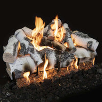 Grand Canyon Quaking Aspen See-Through Vented Gas Log Set - ExceptionalFire