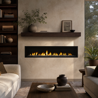 Majestic Echelon II 72" Direct Vent Linear Gas Fireplace — lifestyle