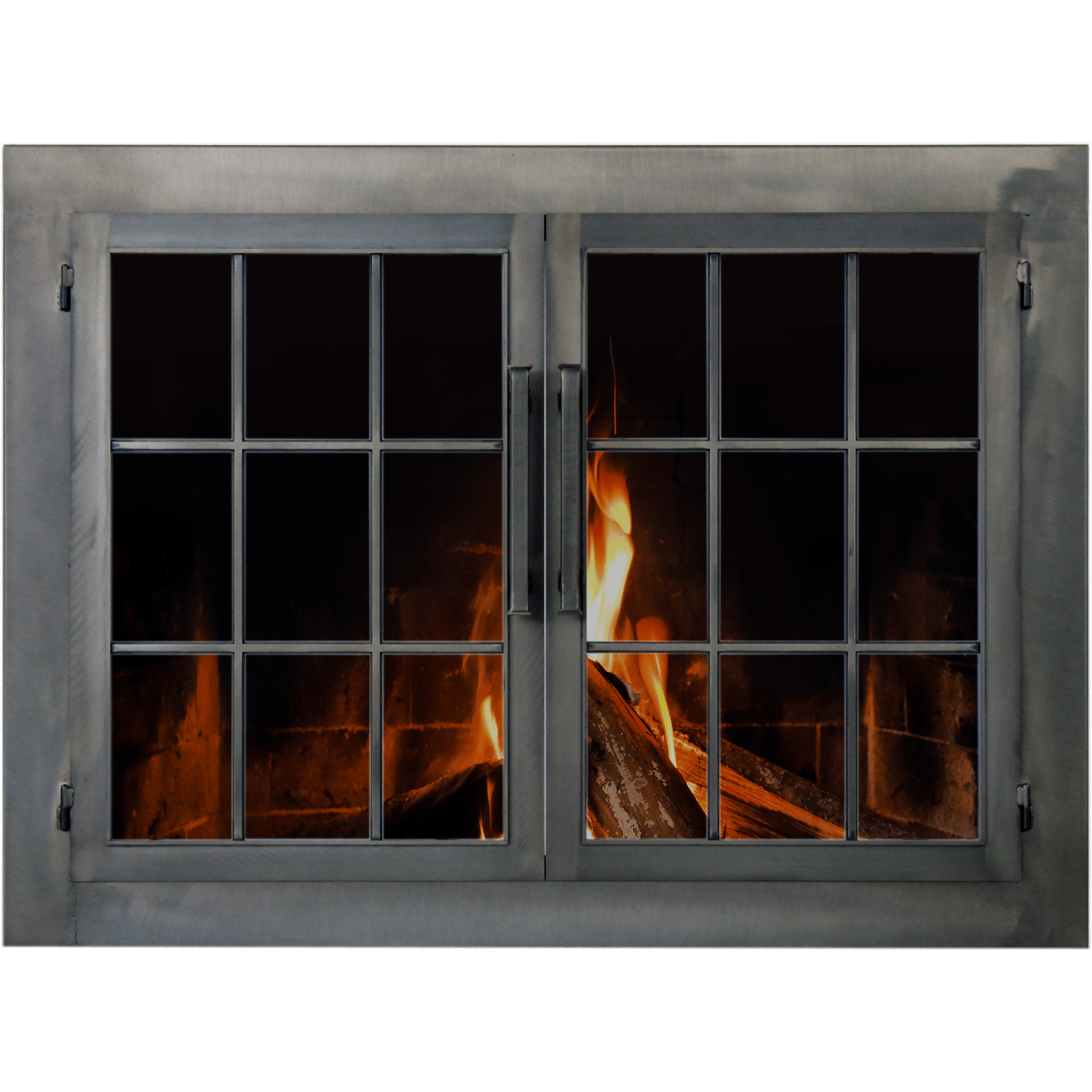 Metro - Masonry and Prefab Fireplace Glass Doors - ExceptionalFire