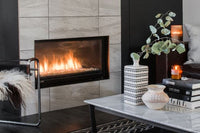 Montigo Phenom 42" Direct Vent Gas Fireplace - Model PL42DF