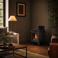 Napoleon Arlington Direct Vent Cast Iron Gas Stove - Model GDS20 — lifestyle