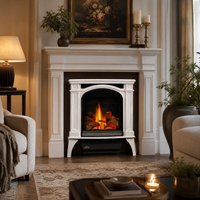 Napoleon Bayfield Direct Vent Cast Iron Gas Stove - Model GDS25-1 — lifestyle