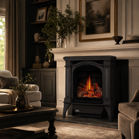 Napoleon Bayfield Electronic Ignition Direct Vent Cast Iron Gas Stove - Model GDS25NA-1 — lifestyle