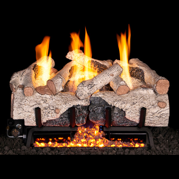 30-inch Charred Alpine Birch Ventless Gas Log Set by Real Fyre