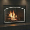 Laguna Arch Pane - Masonry & Prefab Fireplace Glass Doors |  — fire animation