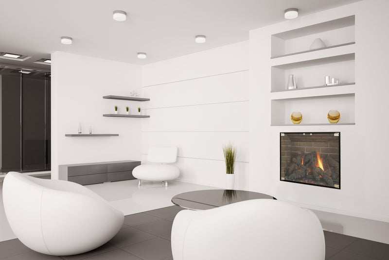 SlimLinePro - Masonry & Prefab Steel Fireplace Glass Doors - ExceptionalFire