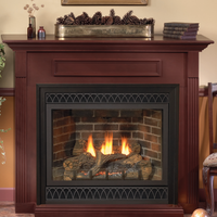 Empire Tahoe Deluxe 48" Direct Vent Gas Fireplace - Model DVD48FP