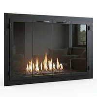 Carolina Traditional Steel Fireplace Glass Doors | Masonry & Prefab | Custom