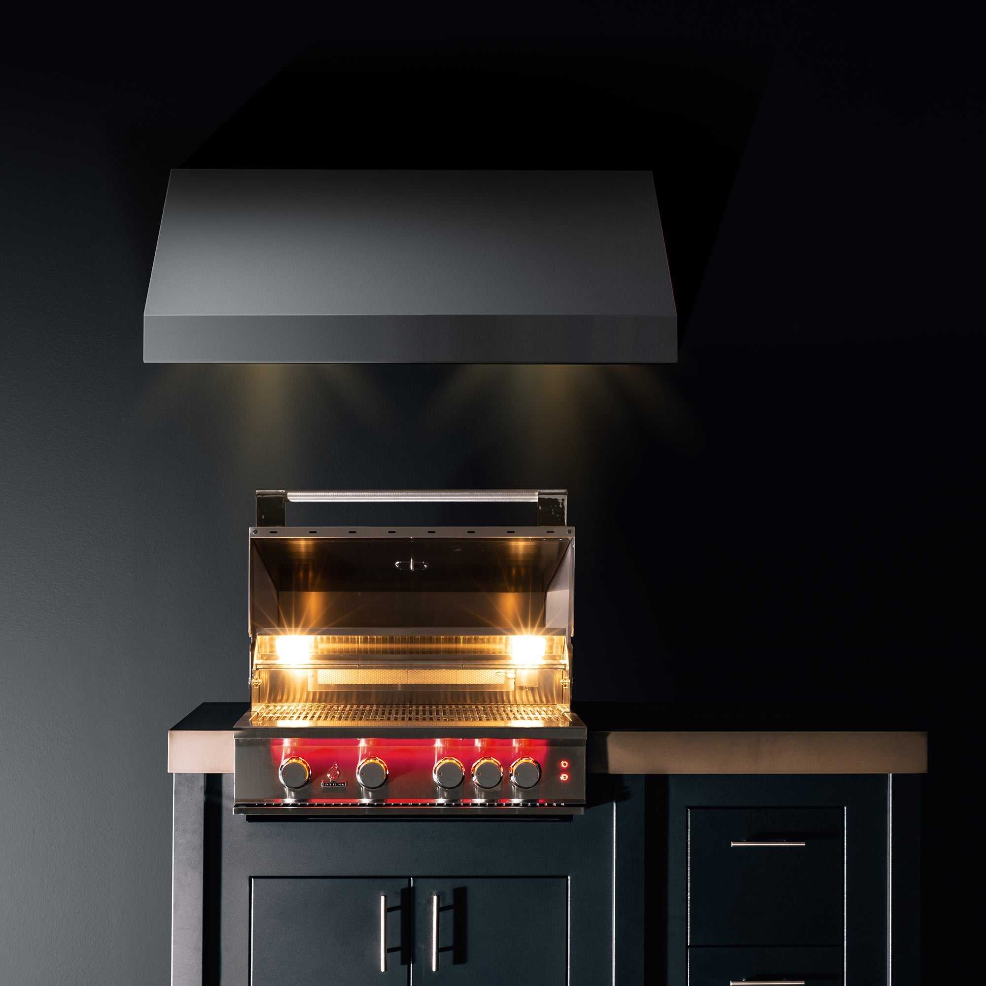 TrueFlame 25 Inch Built-In Grill