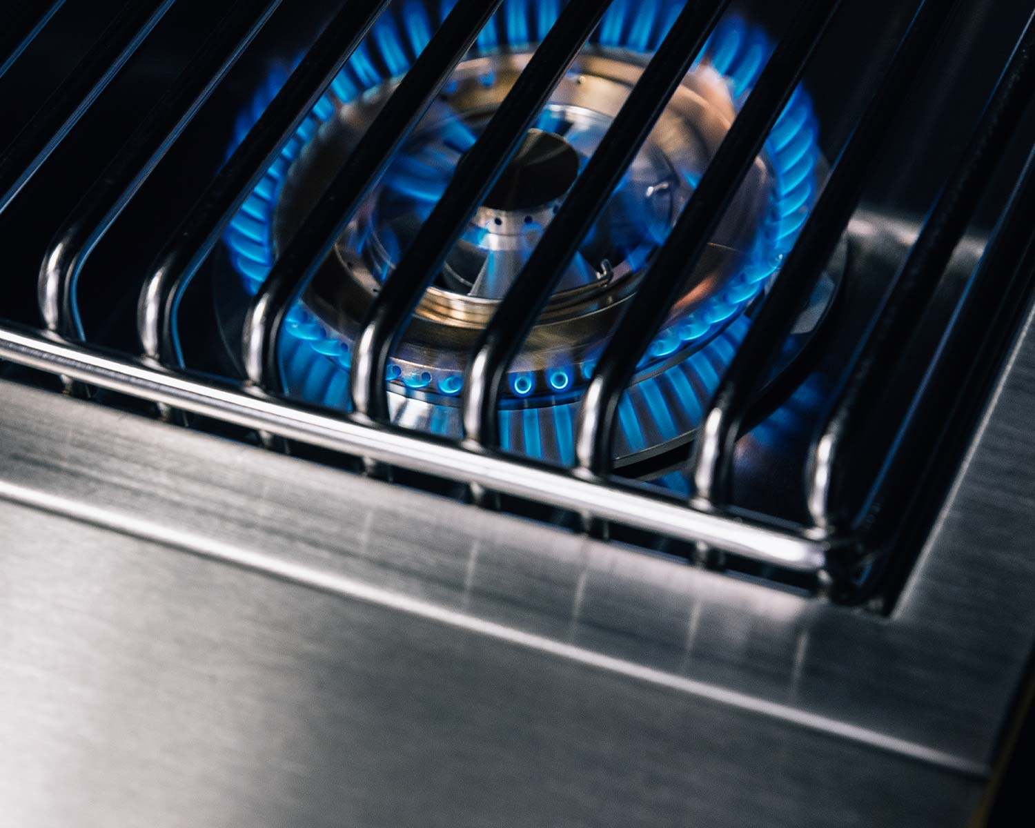 TrueFlame Double Side Burner