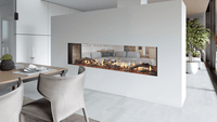 Heat & Glo Primo II 48 See-Through Direct Vent Linear Gas Fireplace | Model PRIMO-II-48ST