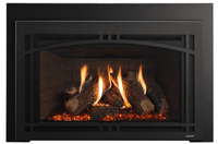 Majestic Ruby Platinum 30" Direct Vent Gas Fireplace Insert - Model RUBYP30IN