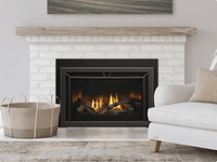 Heat & Glo Cosmo 30 Direct Vent Gas Fireplace Insert | Model COSMO-I30-IFT