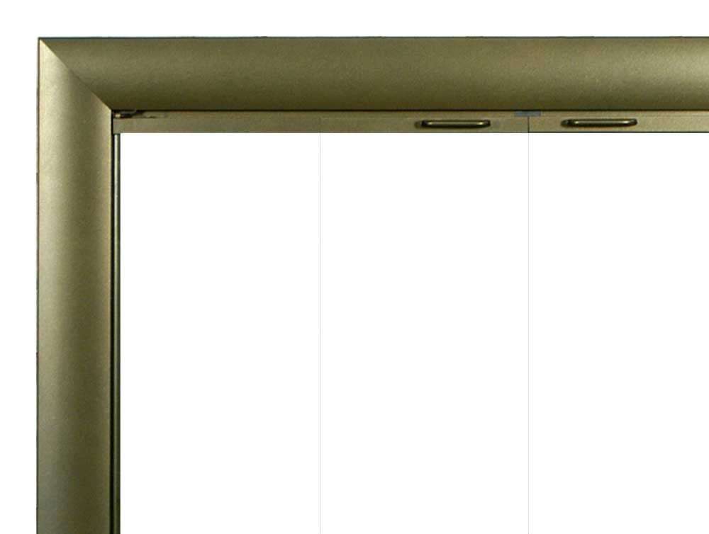 Bungalow - Masonry Fireplace Glass Door Masonry - ExceptionalFire