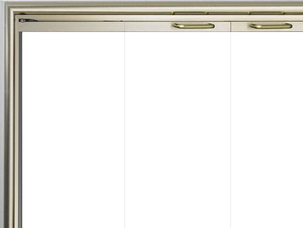 Silhouette - Masonry & Prefab Fireplace Glass Doors - ExceptionalFire